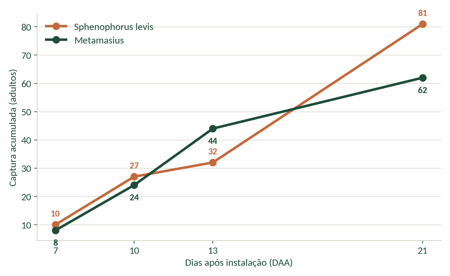 Gráfico de captura acumulada de Sphenophorus levis e Metamasius em Prata, MG